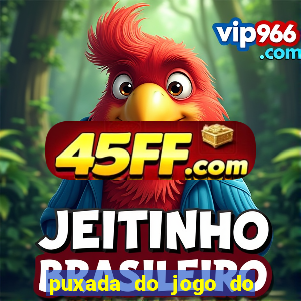 puxada do jogo do bicho da sueli